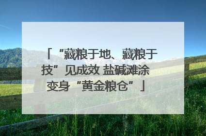 “藏粮于地、藏粮于技”见成效 盐碱滩涂变身“黄金粮仓”