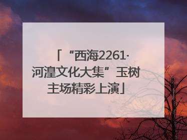 “西海2261·河湟文化大集”玉树主场精彩上演