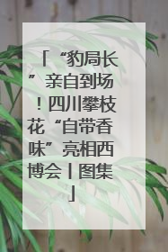 “豹局长”亲自到场！四川攀枝花“自带香味”亮相西博会丨图集