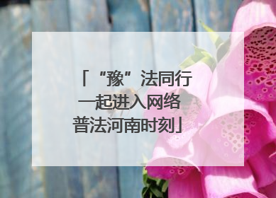 “豫”法同行 一起进入网络普法河南时刻