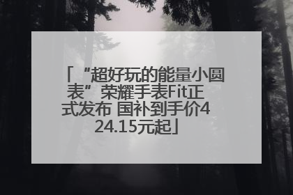 “超好玩的能量小圆表”荣耀手表Fit正式发布 国补到手价424.15元起