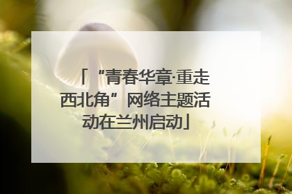 “青春华章·重走西北角”网络主题活动在兰州启动