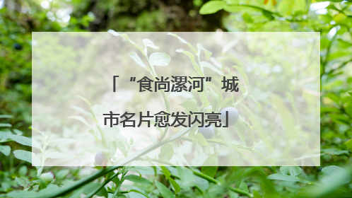 “食尚漯河”城市名片愈发闪亮