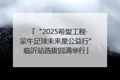 “2025希望工程·蒙牛足球未来星公益行”临沂站选拔圆满举行