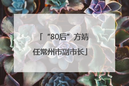 “80后”方靖任常州市副市长