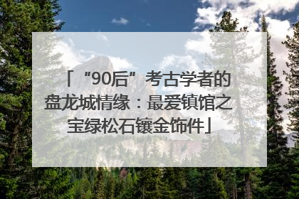 “90后”考古学者的盘龙城情缘：最爱镇馆之宝绿松石镶金饰件