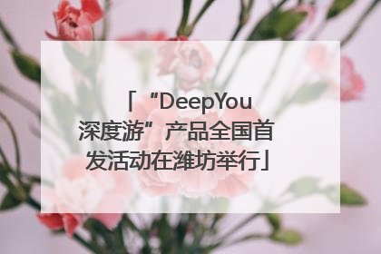 “DeepYou深度游”产品全国首发活动在潍坊举行