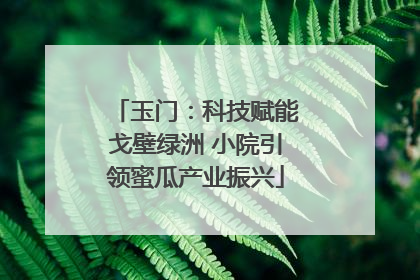 玉门：科技赋能戈壁绿洲 小院引领蜜瓜产业振兴