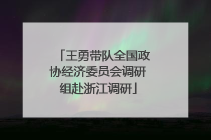 王勇带队全国政协经济委员会调研组赴浙江调研