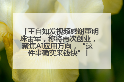 王自如发视频感谢董明珠雷军，称将再次创业，聚焦AI应用方向，“这件事确实来钱快”