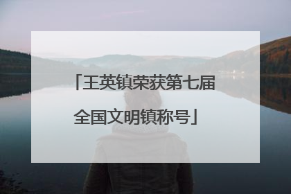 王英镇荣获第七届全国文明镇称号