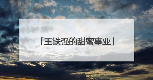 王铁强的甜蜜事业
