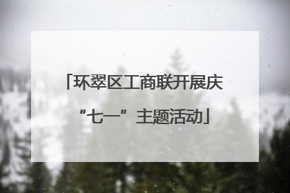 环翠区工商联开展庆“七一”主题活动