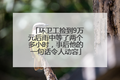 环卫工捡到9万元后雨中等了两个多小时，事后他的一句话令人动容