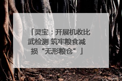 灵宝：开展机收比武检测 筑牢粮食减损“无形粮仓”