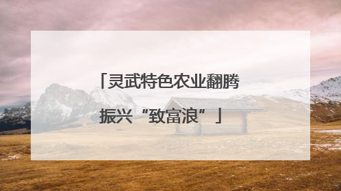灵武特色农业翻腾振兴“致富浪”