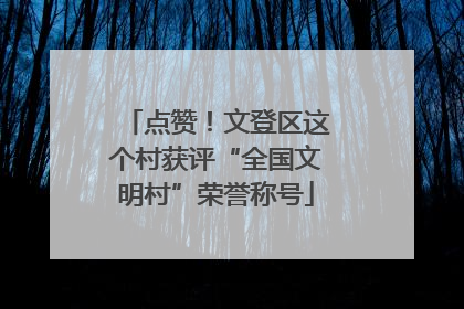 点赞！文登区这个村获评“全国文明村”荣誉称号