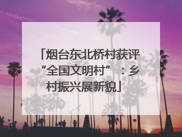 烟台东北桥村获评“全国文明村”：乡村振兴展新貌