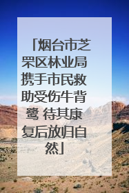 烟台市芝罘区林业局携手市民救助受伤牛背鹭 待其康复后放归自然