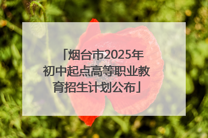 烟台市2025年初中起点高等职业教育招生计划公布