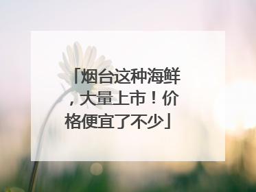 烟台这种海鲜，大量上市！价格便宜了不少