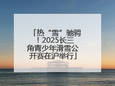 热“雪”驰骋！2025长三角青少年滑雪公开赛在沪举行