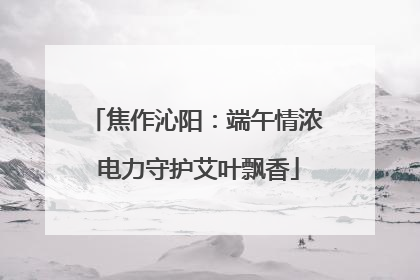 焦作沁阳：端午情浓 电力守护艾叶飘香