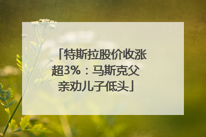 特斯拉股价收涨超3%：马斯克父亲劝儿子低头