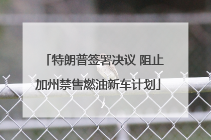 特朗普签署决议 阻止加州禁售燃油新车计划