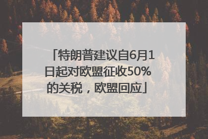 特朗普建议自6月1日起对欧盟征收50%的关税，欧盟回应
