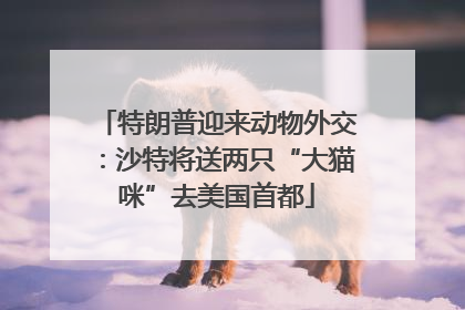 特朗普迎来动物外交：沙特将送两只“大猫咪”去美国首都