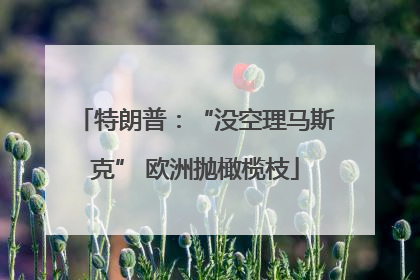 特朗普：“没空理马斯克” 欧洲抛橄榄枝