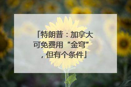 特朗普：加拿大可免费用“金穹”，但有个条件