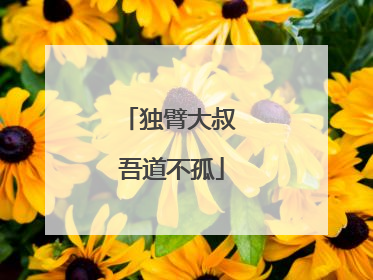独臂大叔 吾道不孤