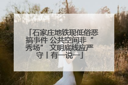 石家庄地铁现低俗恶搞事件 公共空间非“秀场” 文明底线应严守丨有一说一
