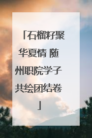 石榴籽聚华夏情 随州职院学子共绘团结卷