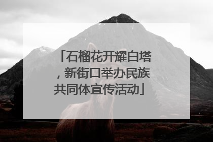 石榴花开耀白塔，新街口举办民族共同体宣传活动
