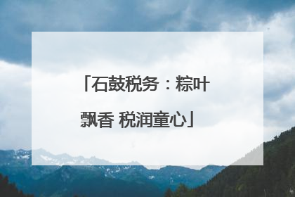 石鼓税务：粽叶飘香 税润童心