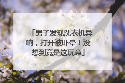 男子发现洗衣机异响，打开被吓晕！没想到竟是这玩意