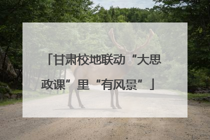 甘肃校地联动“大思政课”里“有风景”