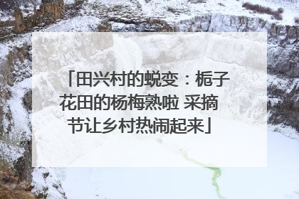 田兴村的蜕变：栀子花田的杨梅熟啦 采摘节让乡村热闹起来