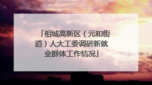 相城高新区（元和街道）人大工委调研新就业群体工作情况