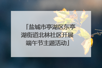 盐城市亭湖区东亭湖街道北林社区开展端午节主题活动