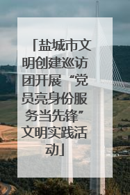 盐城市文明创建巡访团开展“党员亮身份服务当先锋”文明实践活动