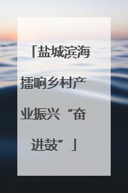 盐城滨海擂响乡村产业振兴“奋进鼓”