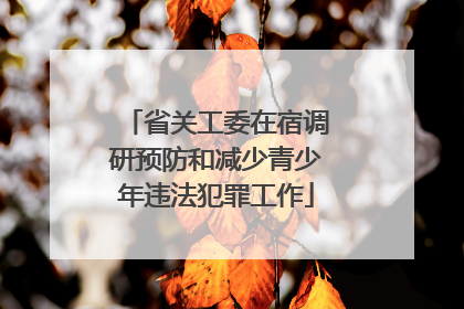 省关工委在宿调研预防和减少青少年违法犯罪工作