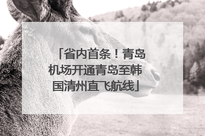 省内首条！青岛机场开通青岛至韩国清州直飞航线