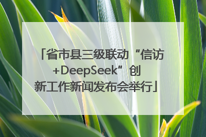 省市县三级联动“信访+DeepSeek”创新工作新闻发布会举行