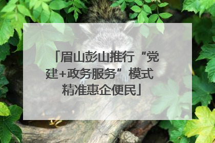 眉山彭山推行“党建+政务服务”模式 精准惠企便民
