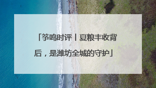 筝鸣时评丨夏粮丰收背后，是潍坊全城的守护